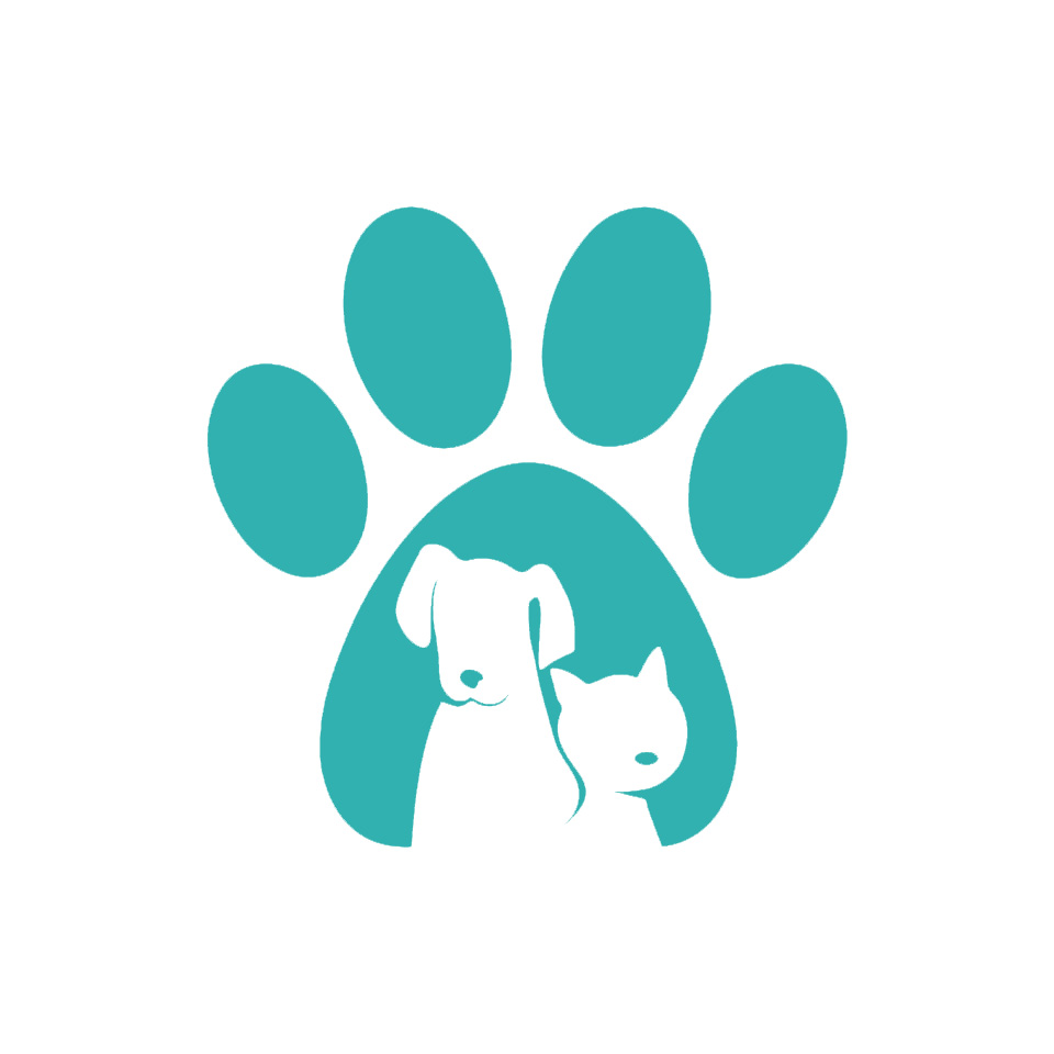 Soins dentaires animal